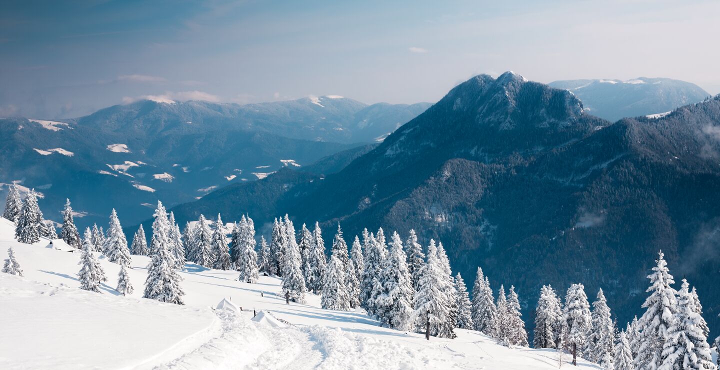 Mountain in the winter