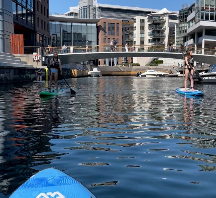 Paddle Board Aker Brygge