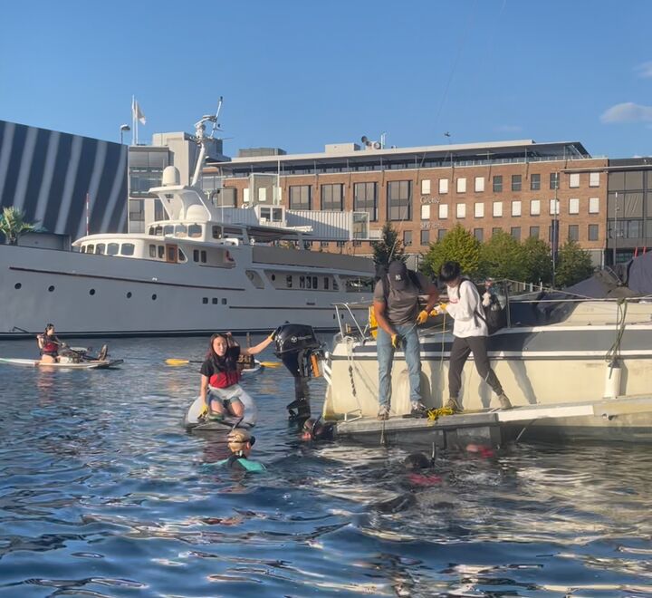 Divers, Walkers, + Paddles working together