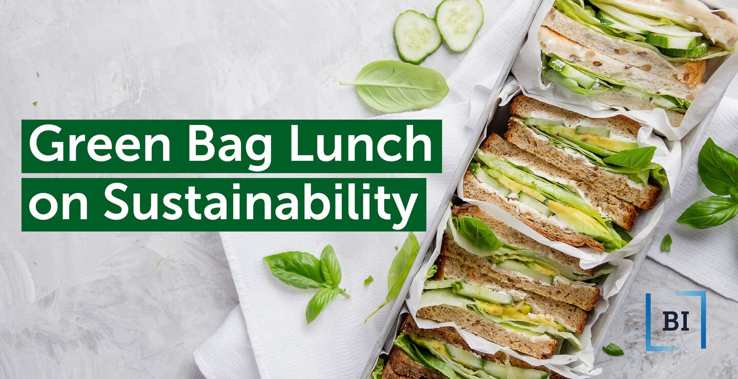 Green bag lunch on sustainability