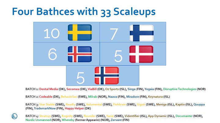 Four batches with 33 Scaleups_720px.jpg